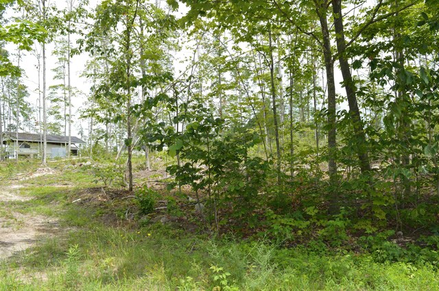 Hardwood, Elmira, MI 49730