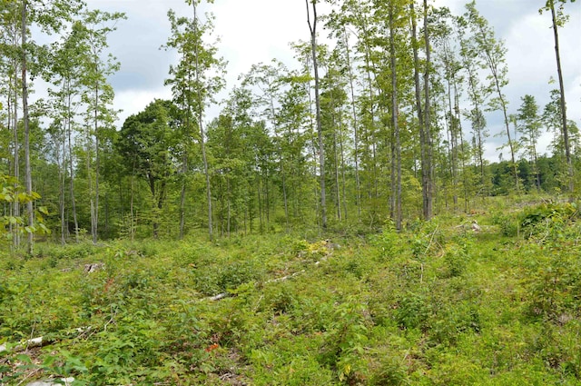 Hardwood, Elmira, MI 49730