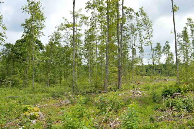 Hardwood, Elmira, MI 49730