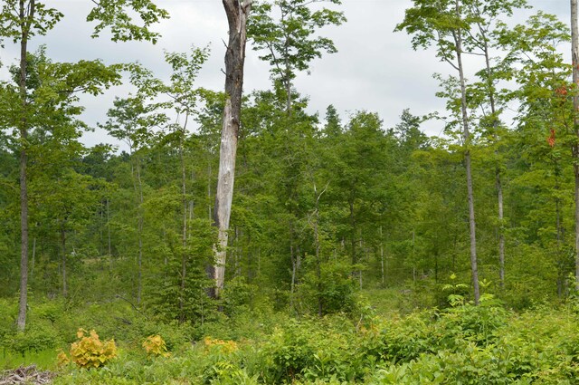 Hardwood, Elmira, MI 49730