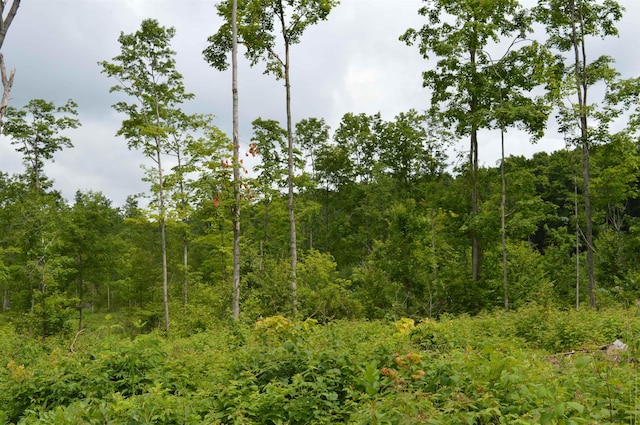 Hardwood, Elmira, MI 49730