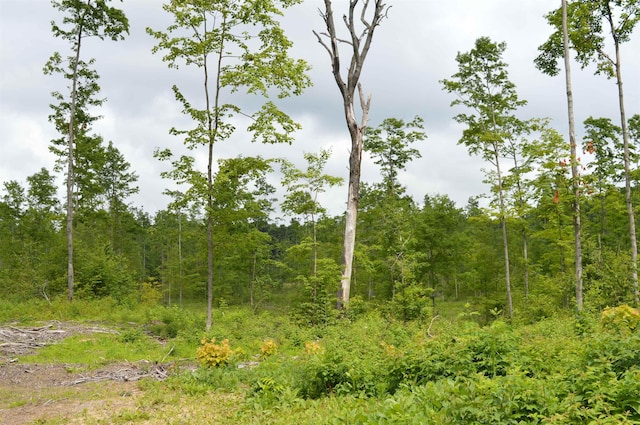 Hardwood, Elmira, MI 49730