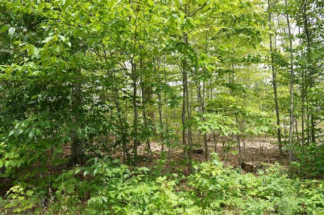 Hardwood, Elmira, MI 49730
