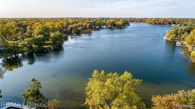 drone / aerial view with a water view and a wooded view