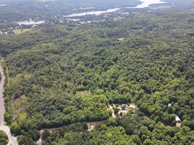 2802 Coulter Creek Trl, Central Lake, MI 49622 - birds eye view of property with a water view