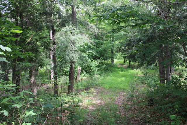 2802 Coulter Creek Trl, Central Lake, MI 49622 - view of nature