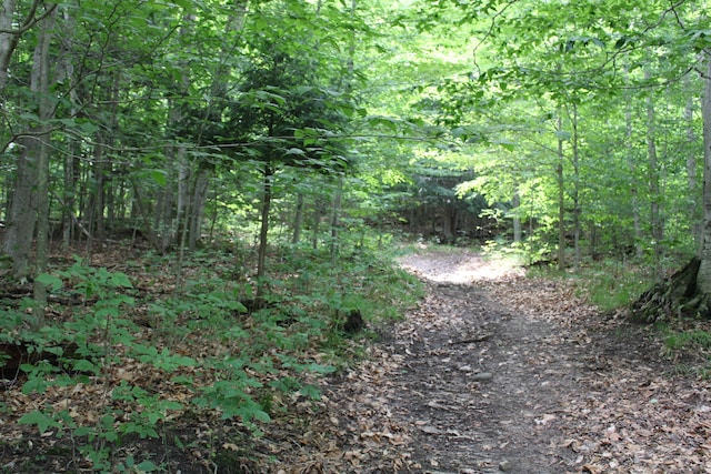 2802 Coulter Creek Trl, Central Lake, MI 49622 - view of nature