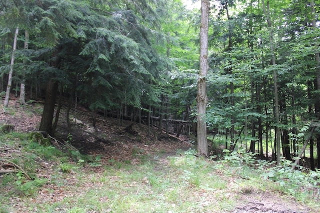2802 Coulter Creek Trl, Central Lake, MI 49622 - view of landscape