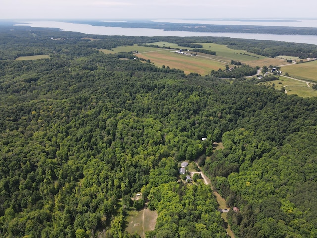 2802 Coulter Creek Trl, Central Lake, MI 49622 - aerial view featuring a rural view and a water view