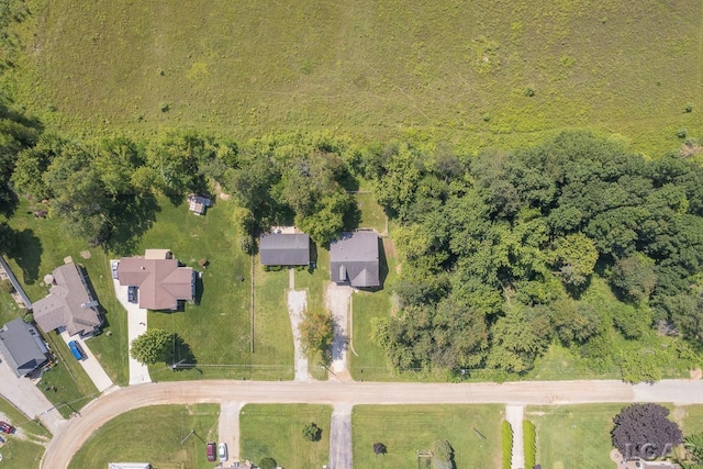 12171 Grandview Dr, Jerome, MI 49249 - aerial view of property and surrounding area