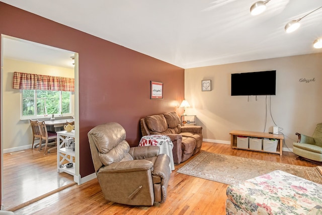 living room with hardwood / wood-style flooring