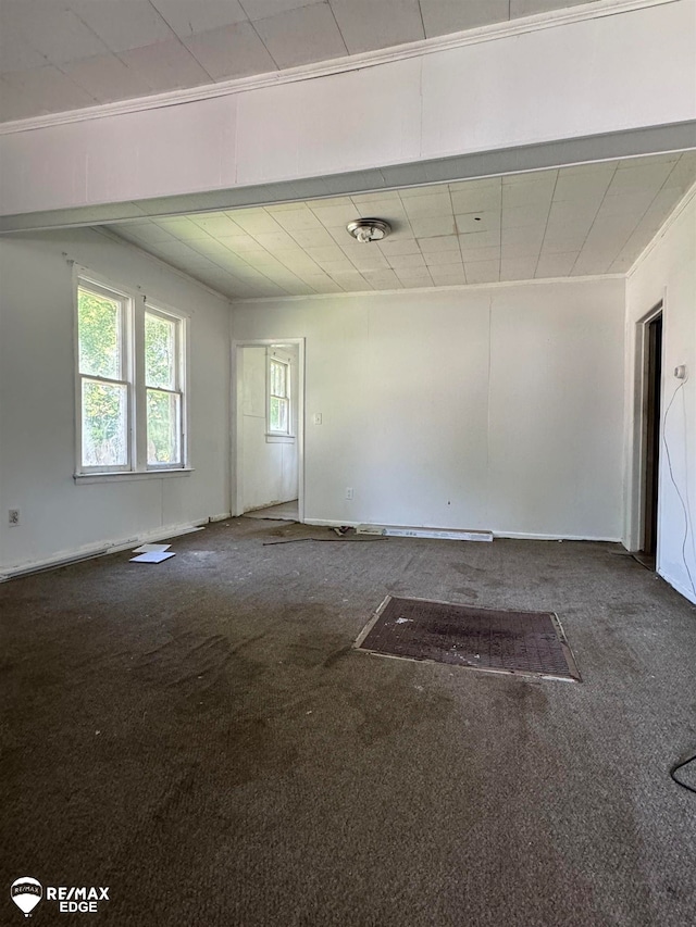 spare room featuring carpet and ornamental molding