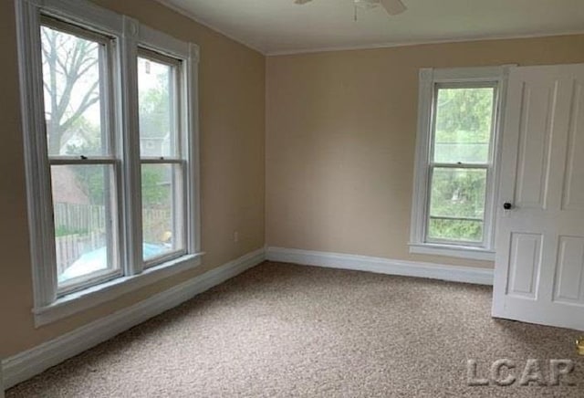 carpeted empty room featuring ceiling fan