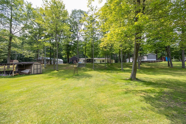 view of yard with a shed