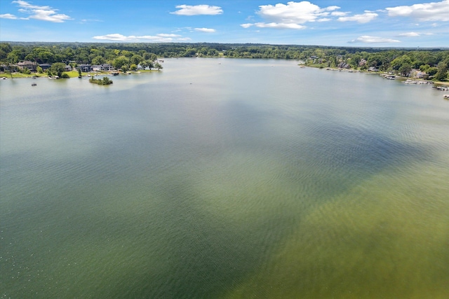 5149 Latimer St, West Bloomfield, MI 48324 - water view