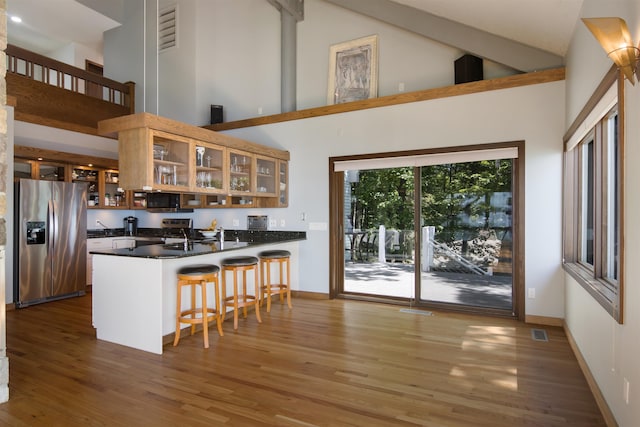 kitchen with kitchen peninsula, high vaulted ceiling, dark hardwood / wood-style floors, and appliances with stainless steel finishes