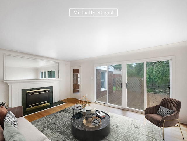 living room with light wood-type flooring