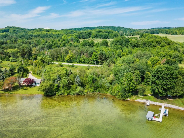 1777 S Lake Shore Dr, Lake Leelanau MI, 49653 land for sale