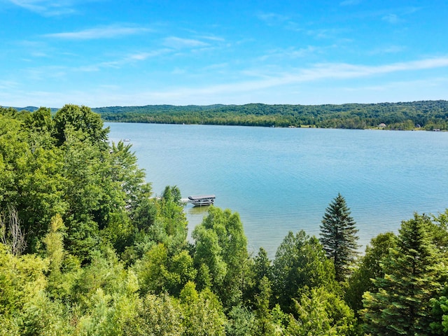 1777 S Lake Shore Dr, Lake Leelanau, MI 49653