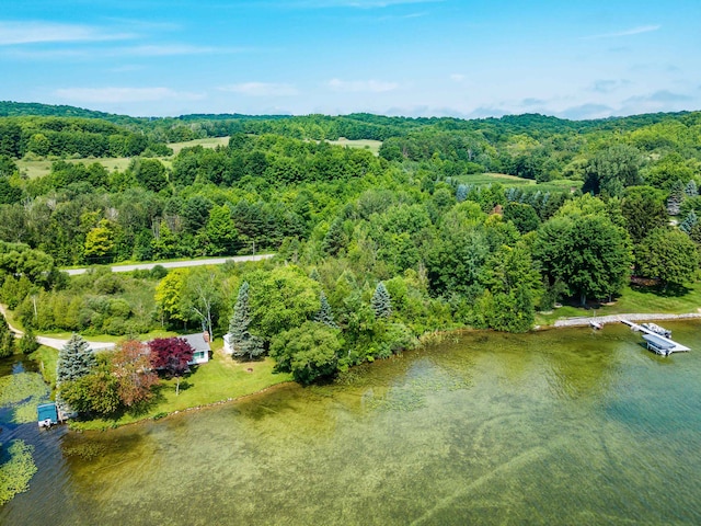 1777 S Lake Shore Dr, Lake Leelanau, MI 49653