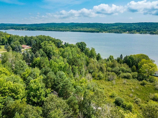 1777 S Lake Shore Dr, Lake Leelanau, MI 49653
