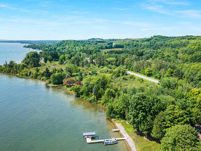 1777 S Lake Shore Dr, Lake Leelanau, MI 49653