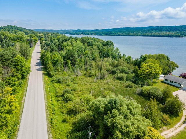 1777 S Lake Shore Dr, Lake Leelanau, MI 49653