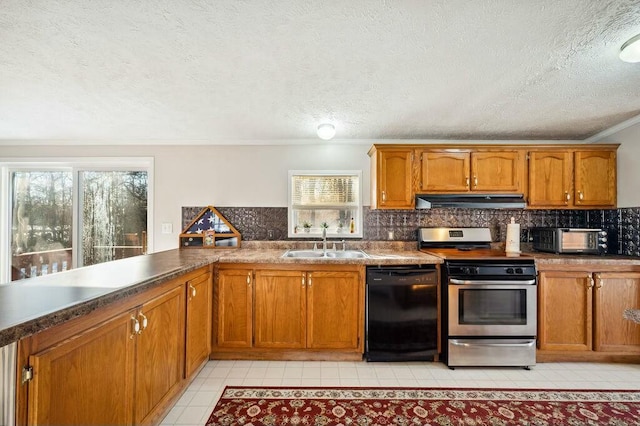 kitchen with sink, black dishwasher, a wealth of natural light, and stainless steel electric range