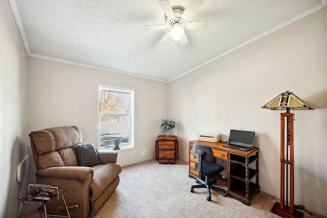 home office featuring a textured ceiling, carpet floors, ceiling fan, and ornamental molding