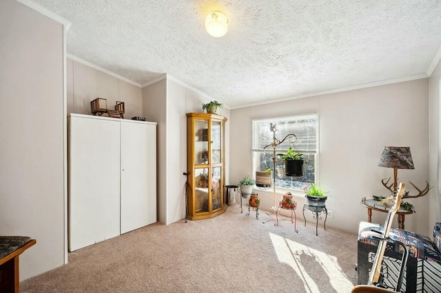 living area with carpet, a textured ceiling, and ornamental molding