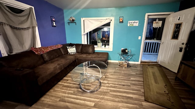 living room featuring hardwood / wood-style flooring