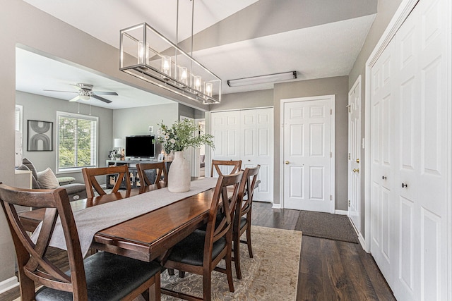 dining space with dark hardwood / wood-style floors and ceiling fan with notable chandelier