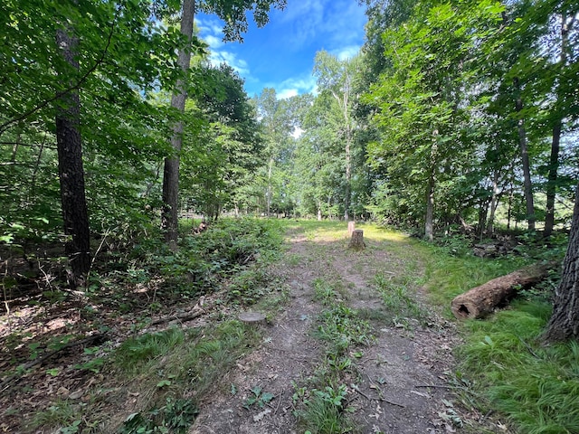 00 N Hadley, Brandon, MI 48462