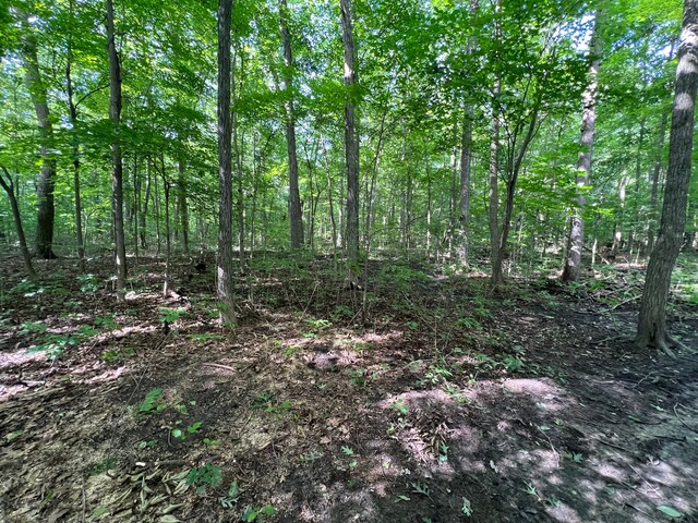 00 N Hadley, Brandon, MI 48462