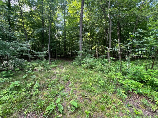00 N Hadley, Brandon, MI 48462