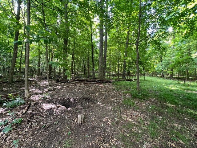 00 N Hadley, Brandon, MI 48462
