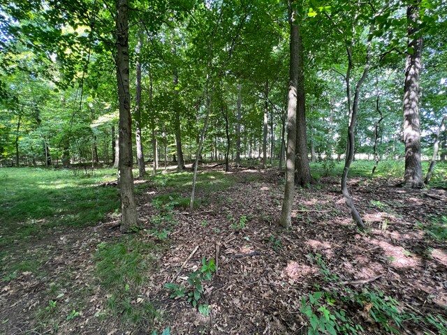 00 N Hadley, Brandon, MI 48462