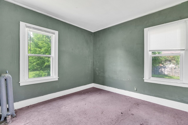 empty room featuring carpet flooring, radiator, and ornamental molding