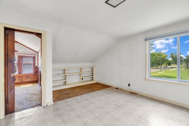 additional living space with lofted ceiling