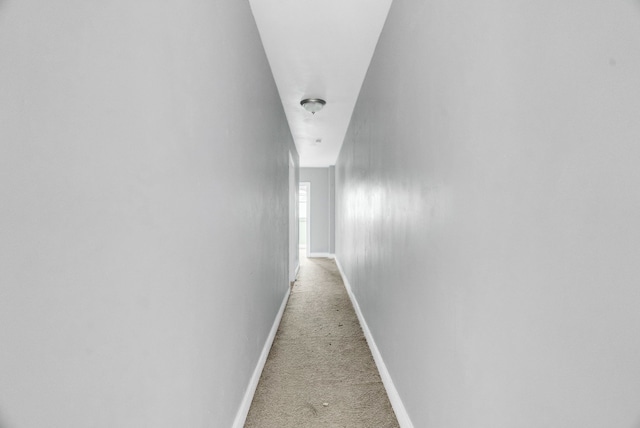 hallway featuring light carpet