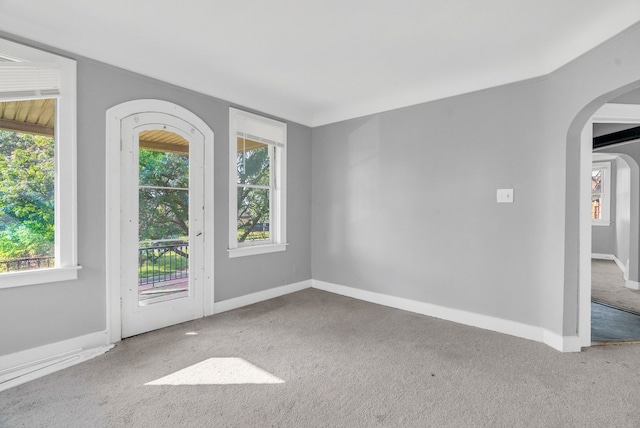 carpeted empty room with a wealth of natural light