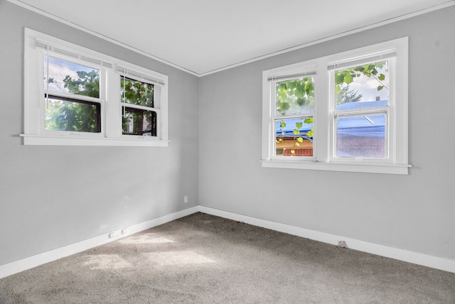 spare room with carpet flooring and crown molding