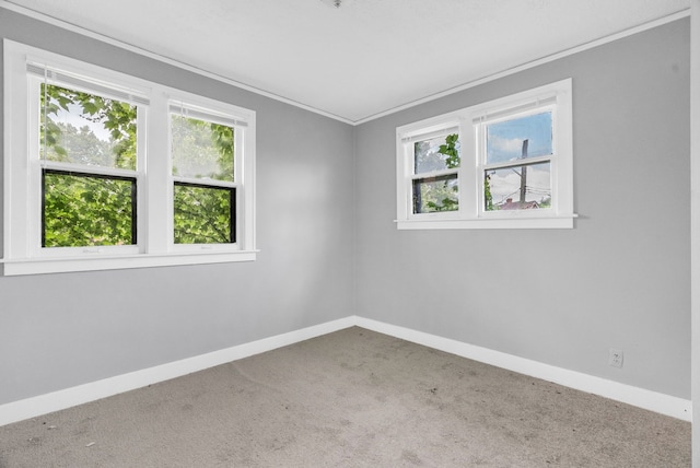 empty room with carpet and a wealth of natural light