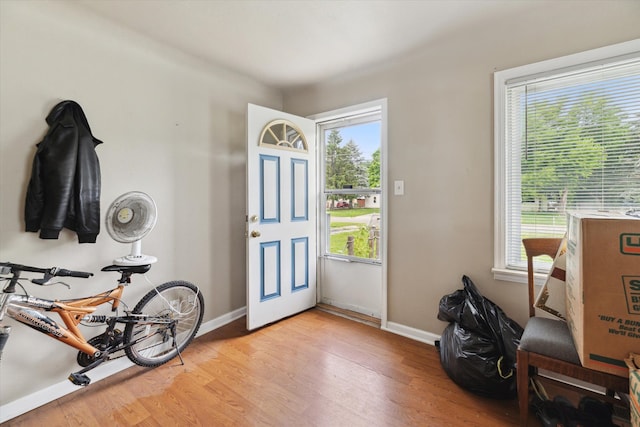 doorway to outside featuring plenty of natural light and light hardwood / wood-style floors