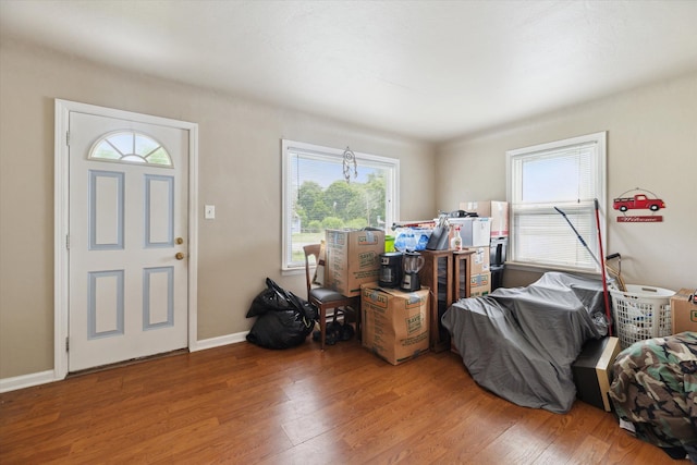 entrance foyer featuring a wealth of natural light and wood-type flooring