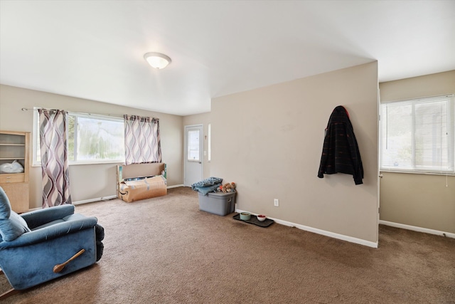 living area with carpet