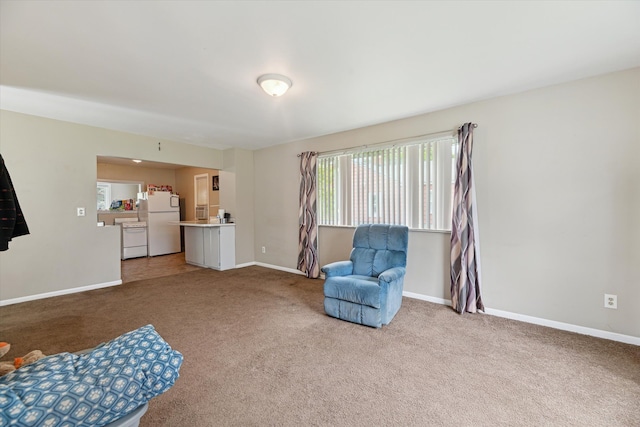 sitting room with carpet floors