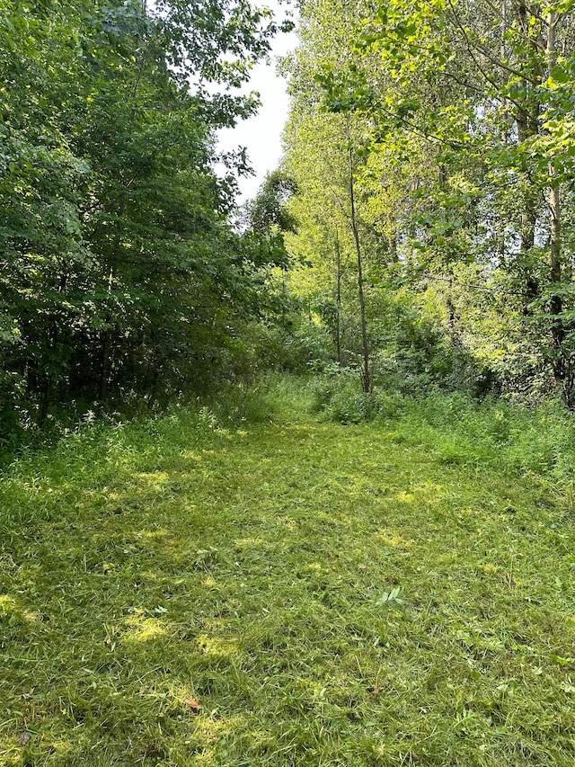 0000 Birch Run Rd, Millington, MI 48746