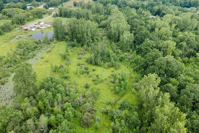 0000 Birch Run Rd, Millington, MI 48746