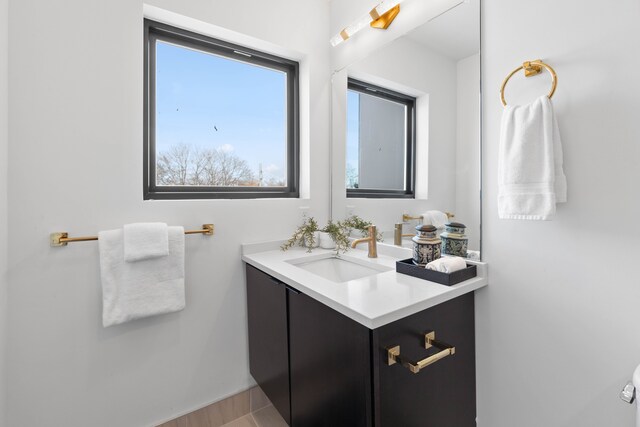 bathroom featuring hardwood / wood-style floors and vanity